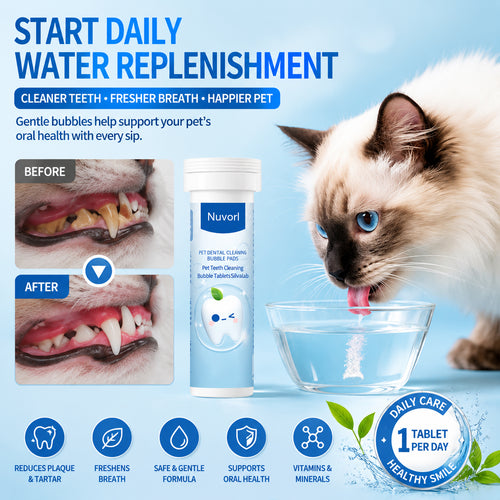 Turn Every Drink Into A Dental Care Moment