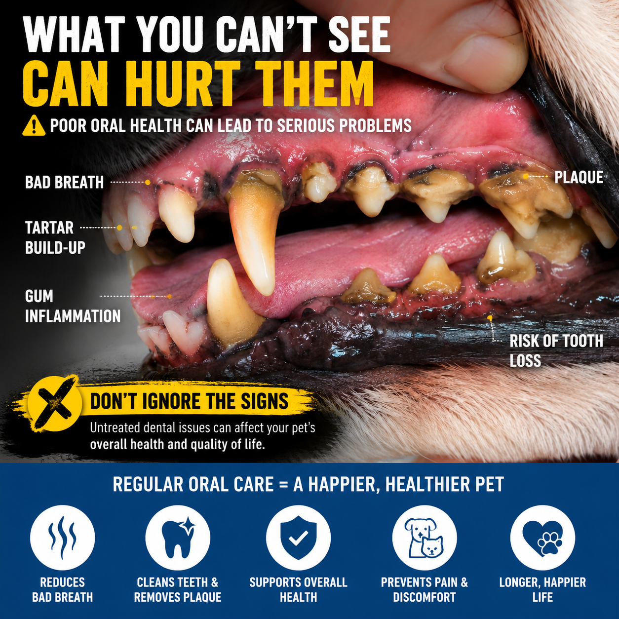 Turn Every Drink Into A Dental Care Moment