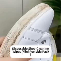Portable Shoe Cleaning Made Easy
